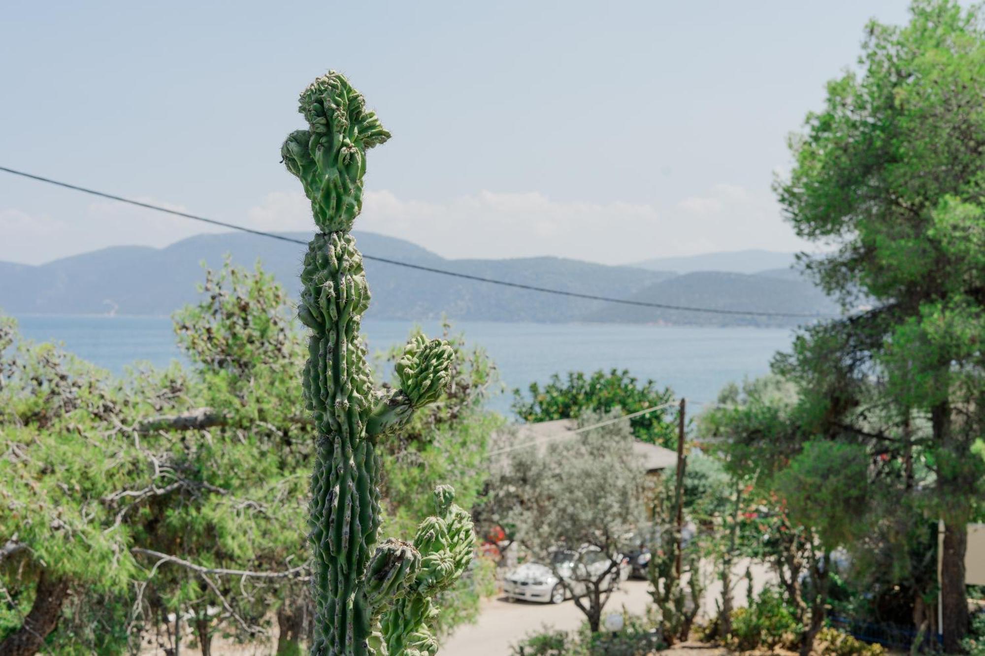 Hotel Korfos - Ξενοδοχείο Κόρφος Renovated المظهر الخارجي الصورة